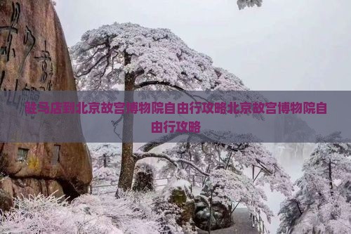 驻马店到北京故宫博物院自由行