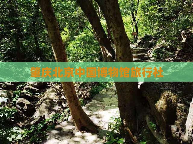肇庆去北京中国国家博物馆旅行社