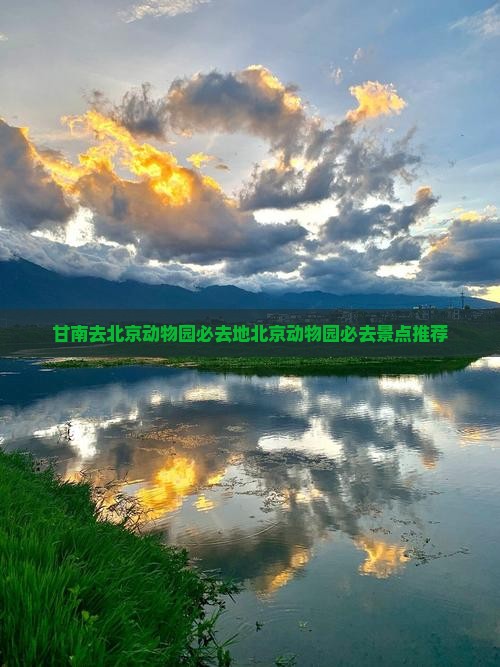 甘南去北京动物园必去地
