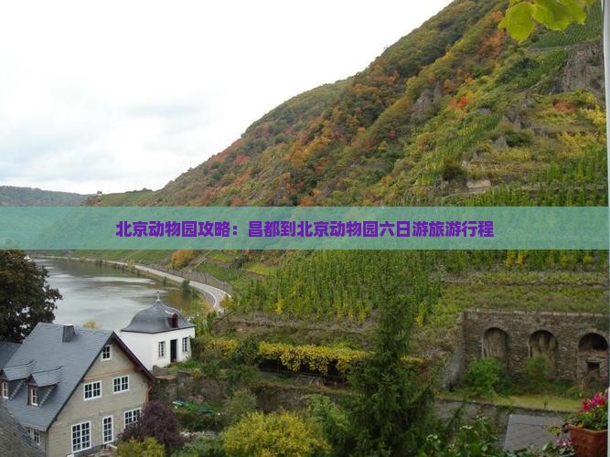 昌都到北京动物园六日游