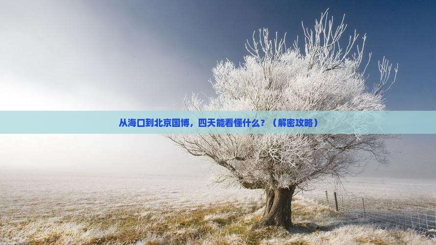 海口去北京中国国家博物馆四日游