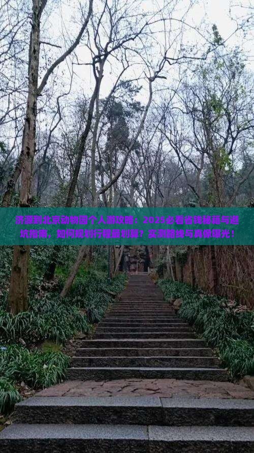 济源到北京动物园个人游