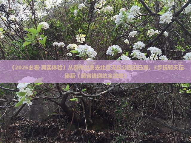 泰州到北京天坛公园五日游