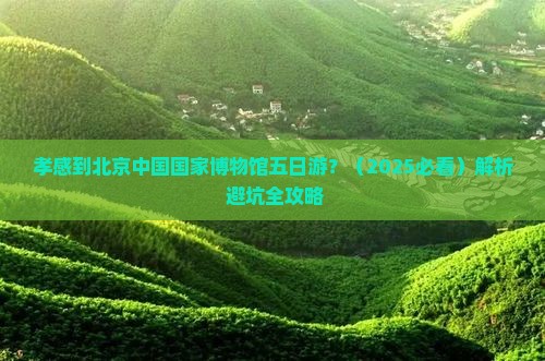 孝感到北京中国国家博物馆五日游