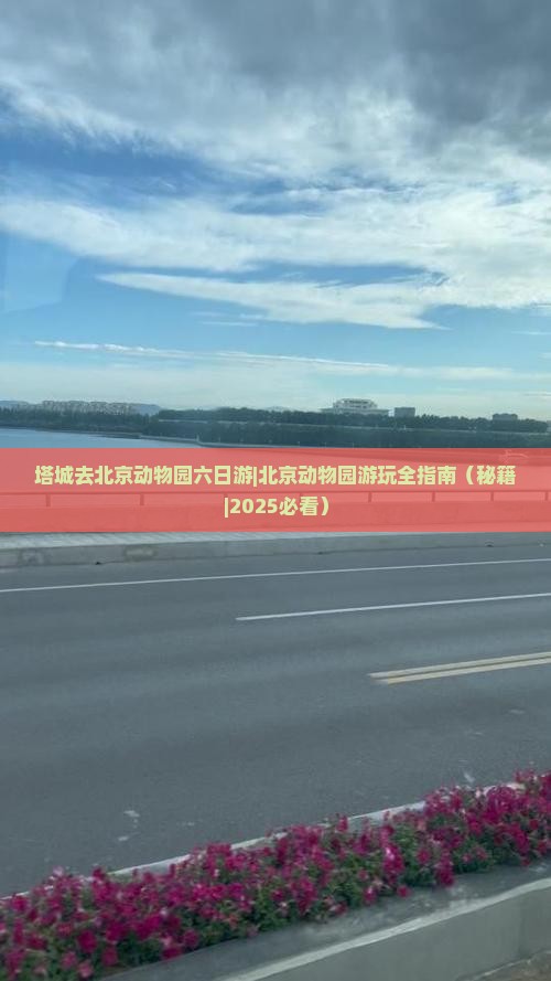 塔城去北京动物园六日游
