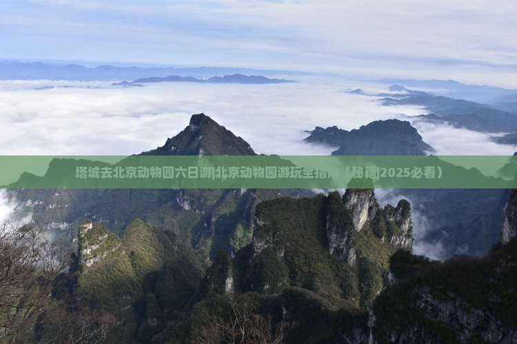 塔城去北京动物园六日游