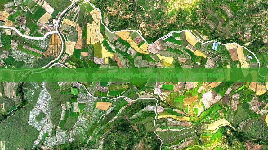镇江去北京动物园旅游小吃