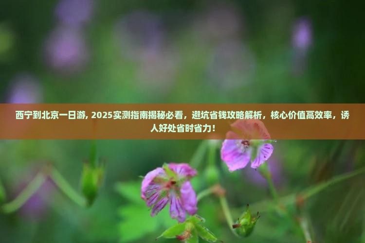 西宁到北京一日游