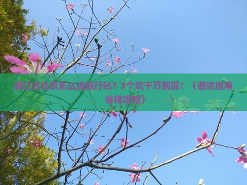 通辽去北京旅行社