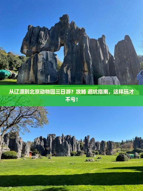 辽源到北京动物园三日游