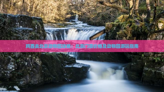 鸡西去北京动物园门票