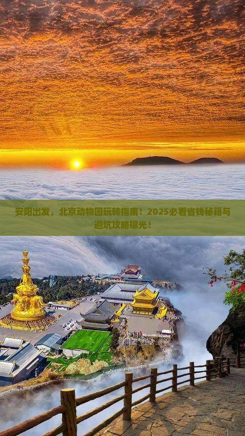安阳去北京动物园团体旅游