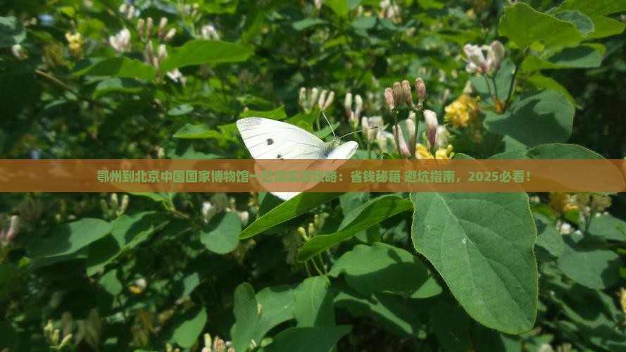 鄂州到北京中国国家博物馆一日游