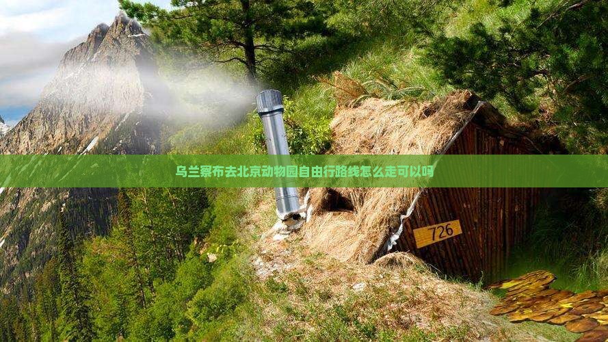 乌兰察布去北京动物园自由行