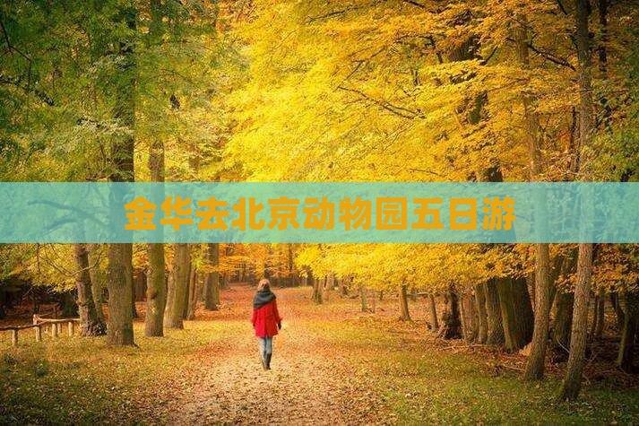 金华去北京动物园五日游