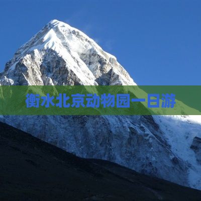 衡水到北京动物园一日游