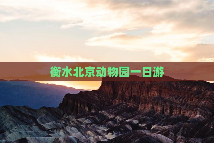 衡水到北京动物园一日游