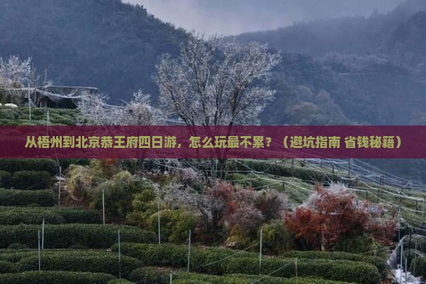 梧州到北京恭王府四日游