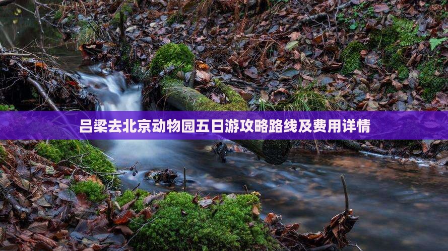 吕梁去北京动物园五日游