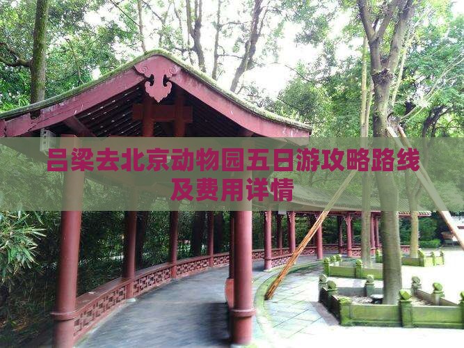 吕梁去北京动物园五日游