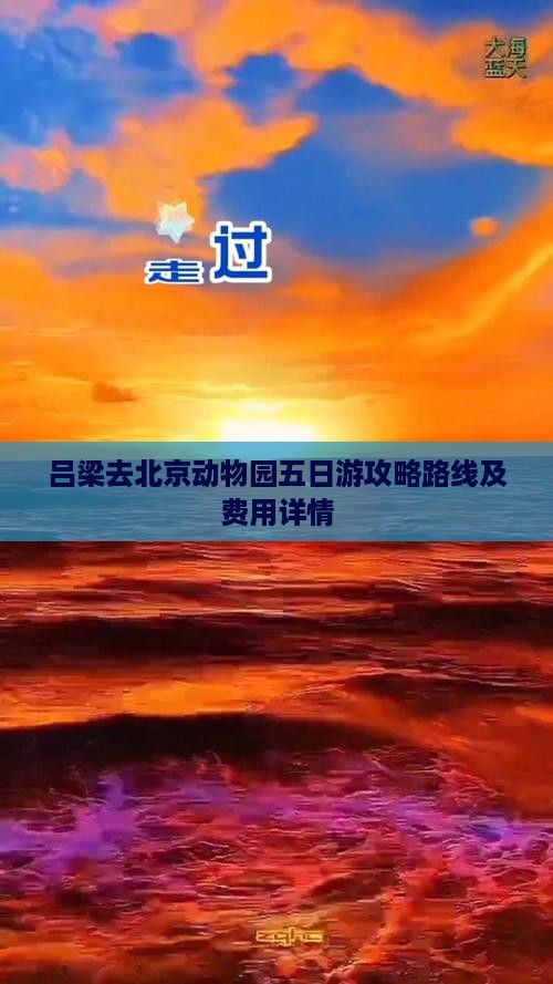 吕梁去北京动物园五日游