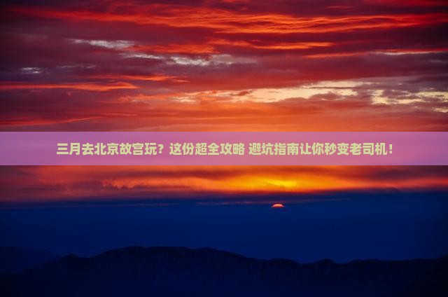 三月去北京故宫博物院团体旅游