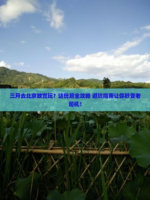 三月去北京故宫博物院团体旅游