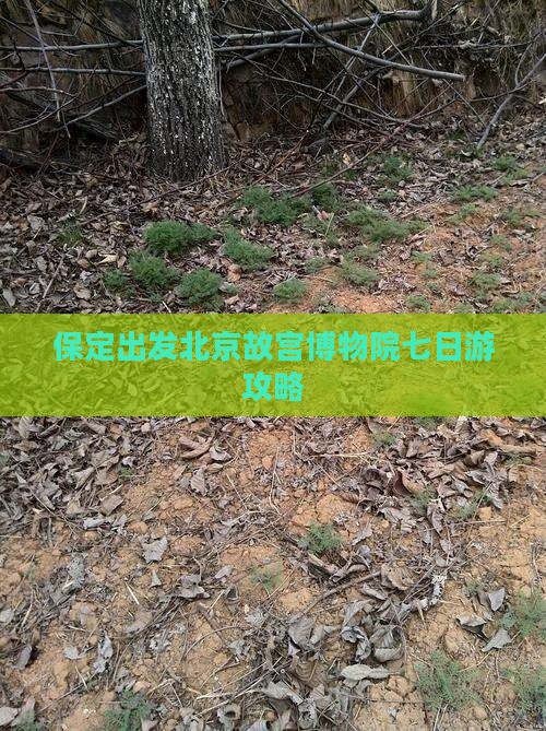 保定去北京故宫博物院七日游