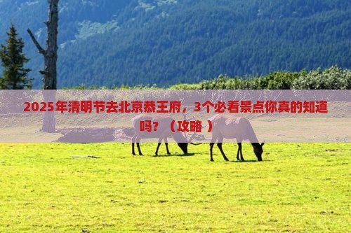 清明节到北京恭王府景点
