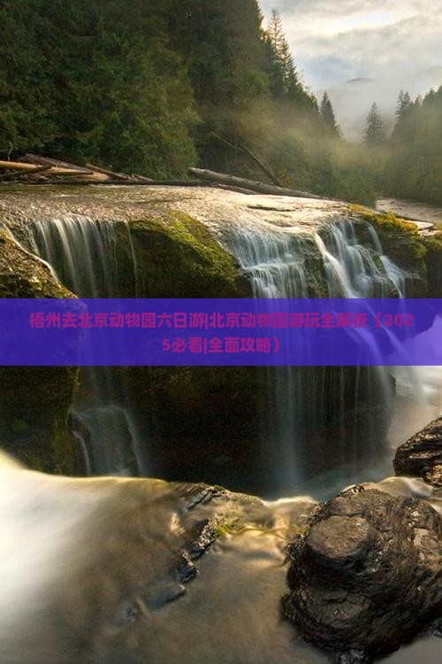 梧州去北京动物园六日游