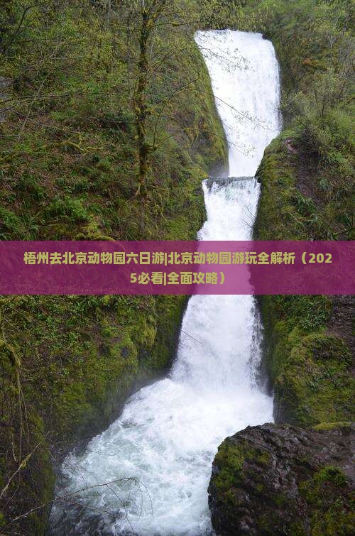 梧州去北京动物园六日游