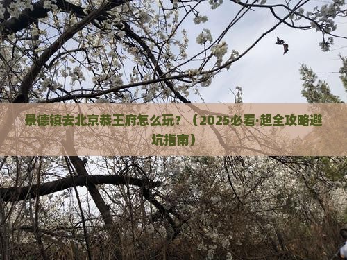 景德镇到北京恭王府哪里玩
