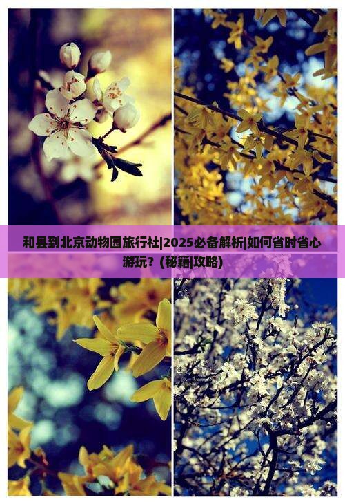 和县到北京动物园旅行社