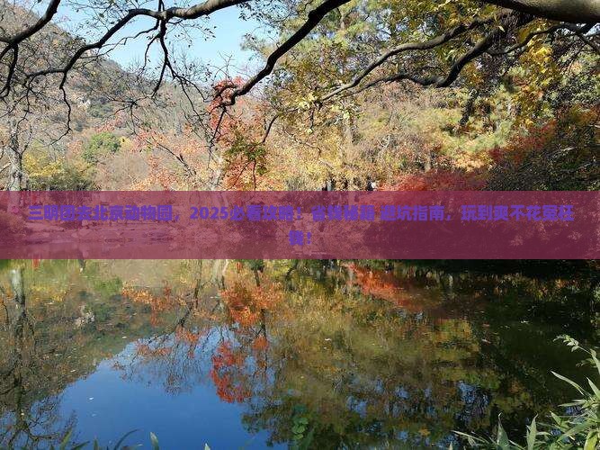 三明去北京动物园团体旅游