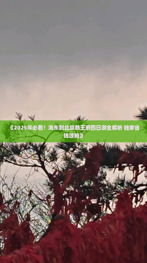 海东到北京恭王府四日游