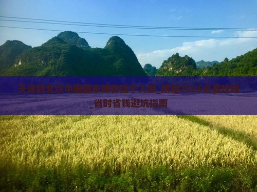 天津到北京中国国家博物馆个人游