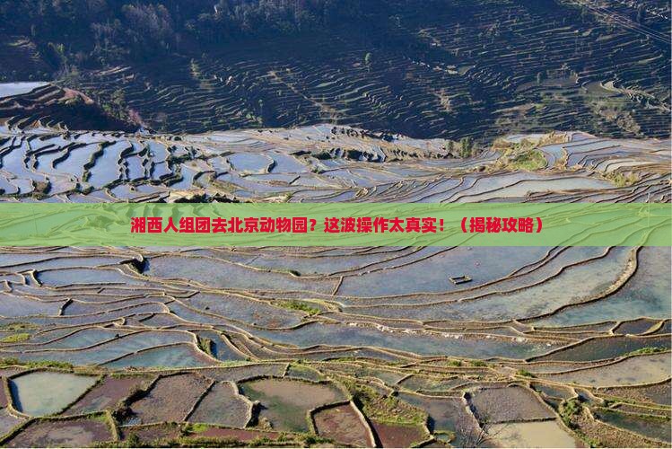 湘西去北京动物园大型旅游团