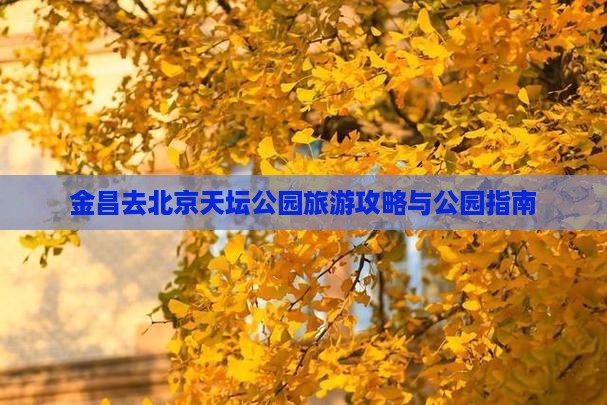 金昌去北京天坛公园个人游