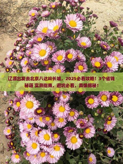辽源到北京八达岭长城景点