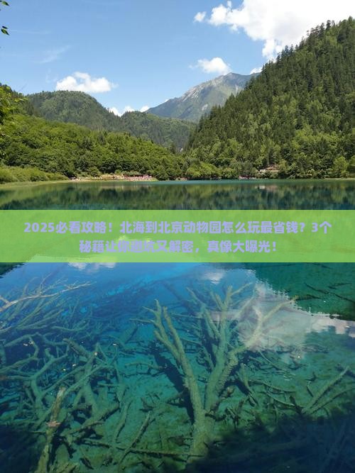 北海到北京动物园景点