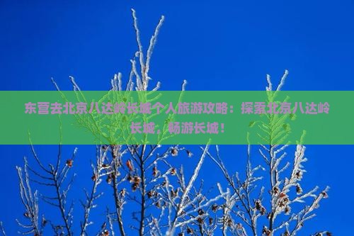 东营去北京八达岭长城个人游