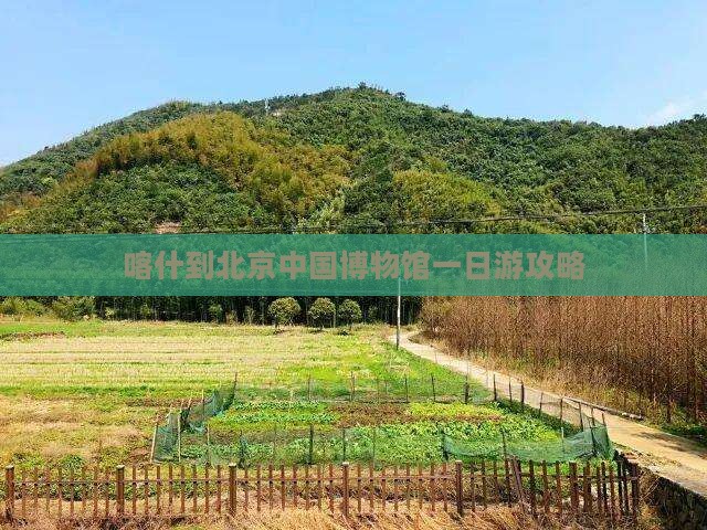 喀什去北京中国国家博物馆一日游