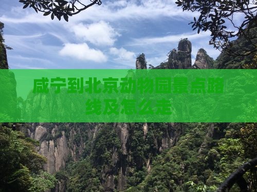 咸宁到北京动物园景点