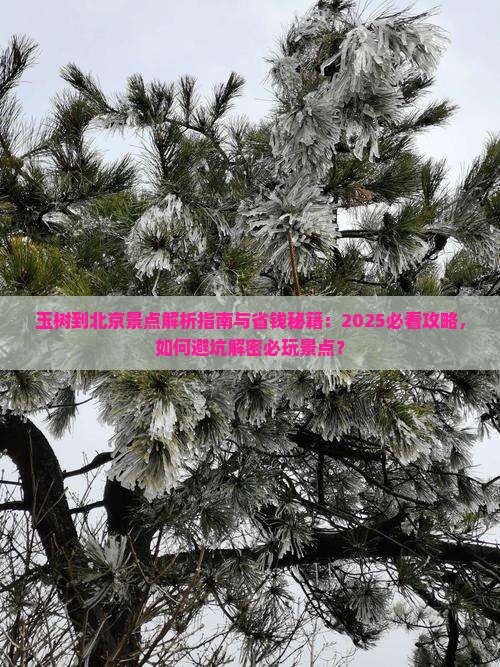 玉树到北京景点