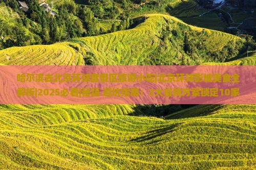 哈尔滨去北京环球度假区旅游小吃
