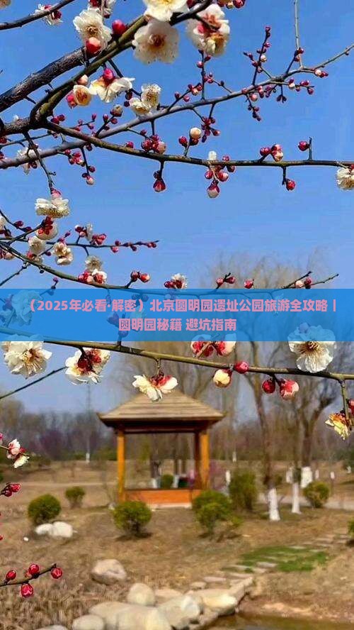 永新去北京圆明园遗址公园景点