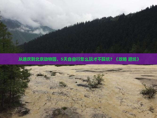 迪庆去北京动物园自由团