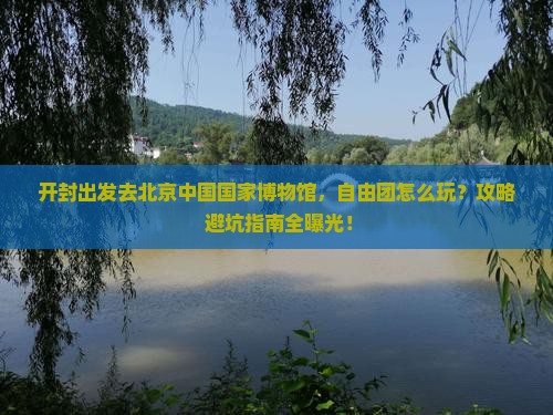 开封去北京中国国家博物馆自由团