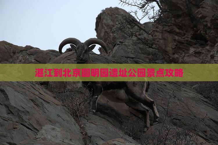 湛江到北京圆明园遗址公园景点