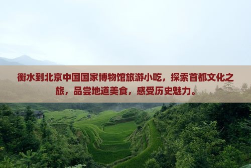 衡水到北京中国国家博物馆旅游小吃